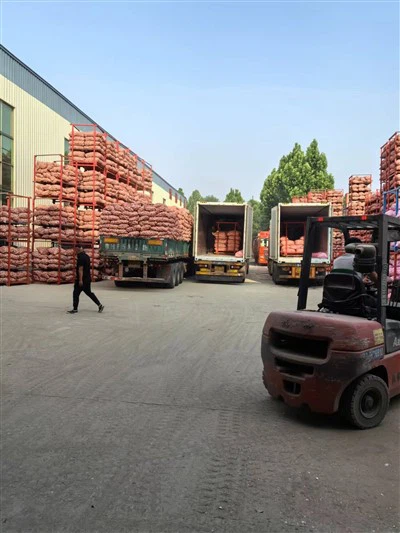 Veľké vrecko bieleho cesnaku