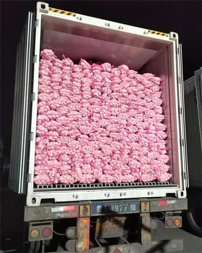 Red Net Pocket White Cesnak